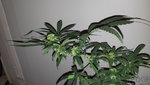 20200614_114228.jpg