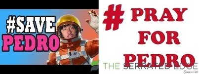 #prayforsavepedro.jpg