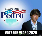 vote-for-pedro-53233afc5e.jpg