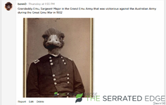 sedge_grandaddy_emu.png