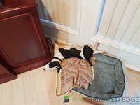 20210221_194615.jpg