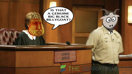 sedge.jpg