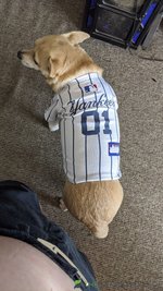 Yankees_back.jpg