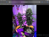 28155C3E-9307-4AA7-8CC4-2D4BD6EF65DC.png