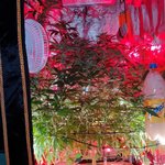 IMG_20210518_181856_908.jpg