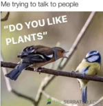 1621481831088.png