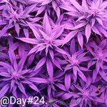 00001XTR_00041_BURST20210522035533~2.jpg