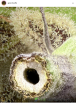 1622006857624.png