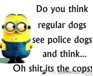 police dogs.jpg