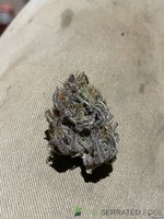 B4B4128A-BC04-48DC-B777-C451C6C7075D.jpeg