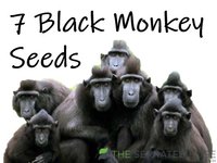 7 Black Monkey Seeds.jpg