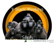 7 Black Monkey Seeds [Background] - B.png
