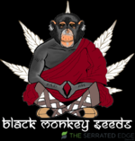 Black Monkey Seeds [Black-Small].png