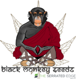 Black Monkey Seeds [Clear-Small].png
