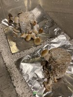 E669768B-56C0-46EA-A65E-C6926EFD9AB0.jpeg