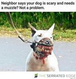 neighbor-says-your-dog-is-scary-and-needs-a-muzzle-36704598.png