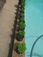 IMG_20211024_113817.jpg