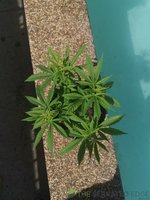IMG_20211103_094934.jpg