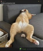 Ntlss_9GAG.jpg