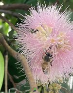 C74913E8-3FD8-44FD-A6FF-A818813E9666.jpeg