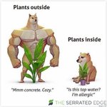 hydroexperts_au_269552896_685192142864643_543545501920940346_n.jpg