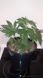 20220113_091145.jpg