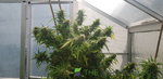 20190314_104027.jpg