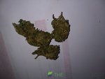 IMG_20200717_073451305.jpg
