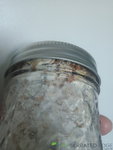IMG20200716081943.jpg