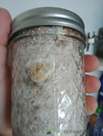 IMG20200717085217.jpg