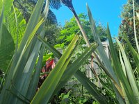 20220116_175427.jpg