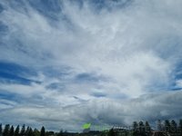 20220124_122102.jpg