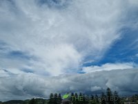 20220124_122104.jpg