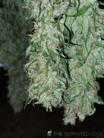 20220124_154843.jpg