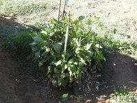 DSCN5651.JPG
