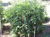 DSCN5655.JPG