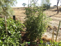 DSCN5656.JPG