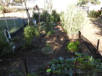 DSCN5698.JPG