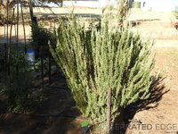 DSCN5700.JPG