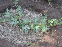DSCN5703.JPG