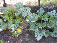 DSCN5707.JPG