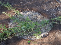 DSCN5708.JPG