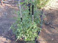 DSCN5709.JPG