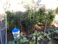 DSCN5716.JPG