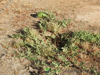 DSCN5722.JPG