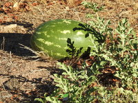 DSCN5723.JPG