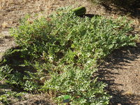 DSCN5724.JPG