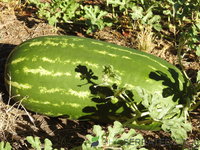DSCN5727.JPG