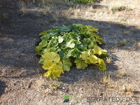 DSCN5728.JPG
