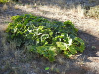 DSCN5729.JPG